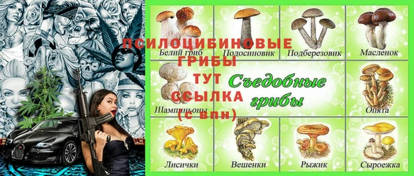 СК Беломорск