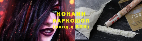 ГАЛЛЮЦИНОГЕННЫЕ ГРИБЫ Белоозёрский