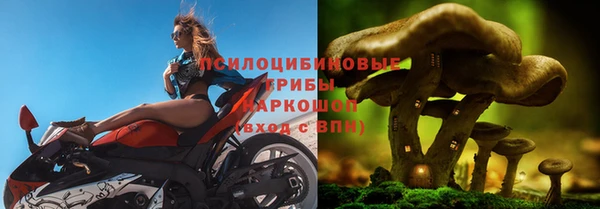 ГАЛЛЮЦИНОГЕННЫЕ ГРИБЫ Белоозёрский