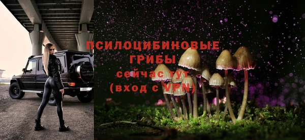ГАЛЛЮЦИНОГЕННЫЕ ГРИБЫ Белоозёрский