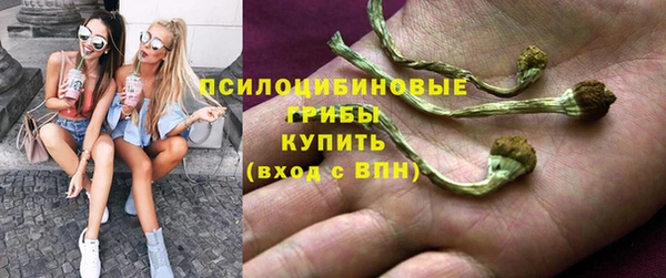 СК Беломорск