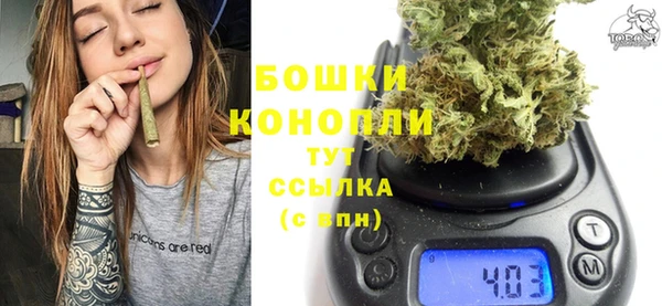 ГАЛЛЮЦИНОГЕННЫЕ ГРИБЫ Белоозёрский