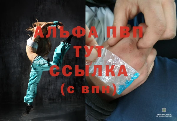 ГАЛЛЮЦИНОГЕННЫЕ ГРИБЫ Белоозёрский